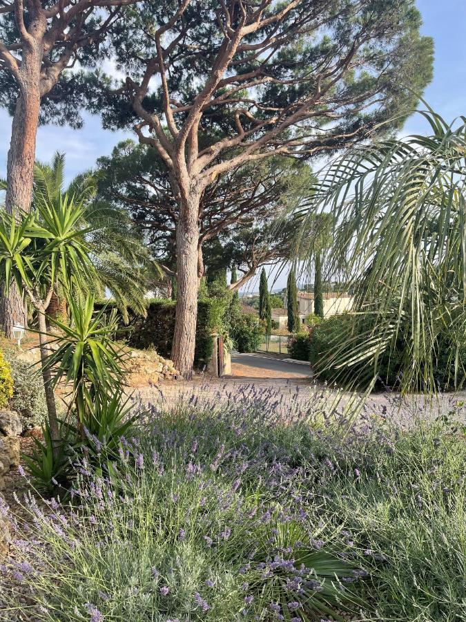 Paradis Provencal Sainte-Maxime Exterior foto